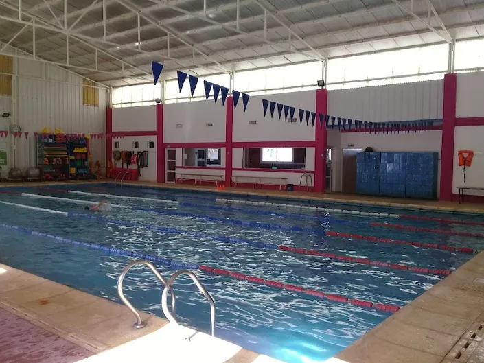 Center Padel, Centenario