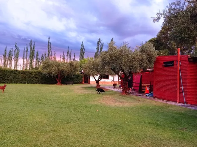 Los Olivos Padel