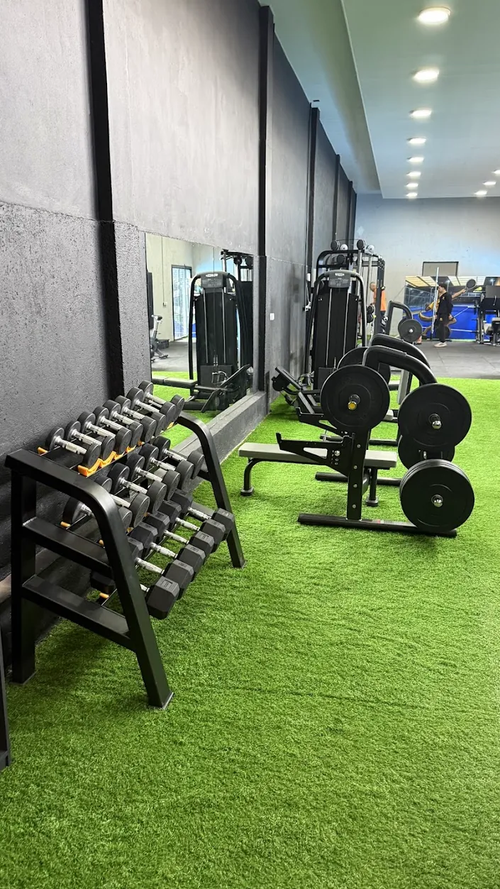 Wolf Gym Arena Pádel